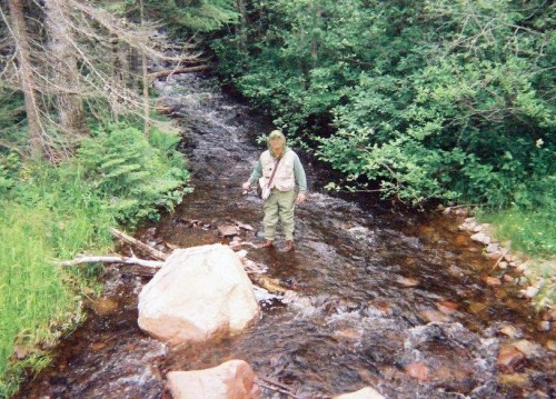 Stream Fishing Kadunce River