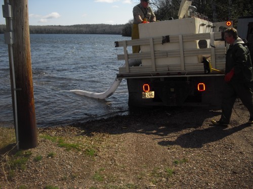 DNR Stocks Trout Lake with Rainbows