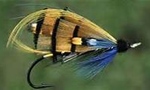 Blue Fly