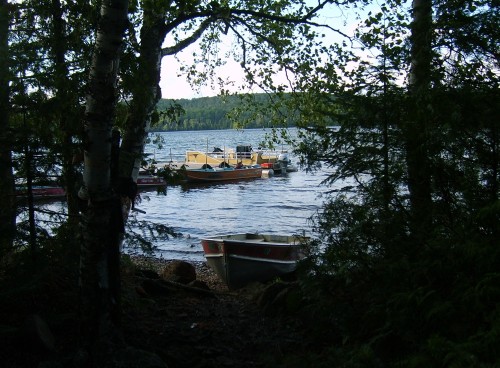 Dock Through the Trees
