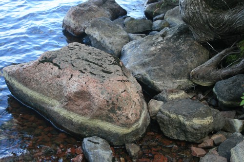 Rocks and Trees on Trout Lake’s Shoreline